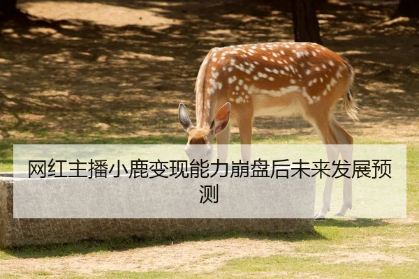 网红主播小鹿变现能力崩盘后未来发展预测